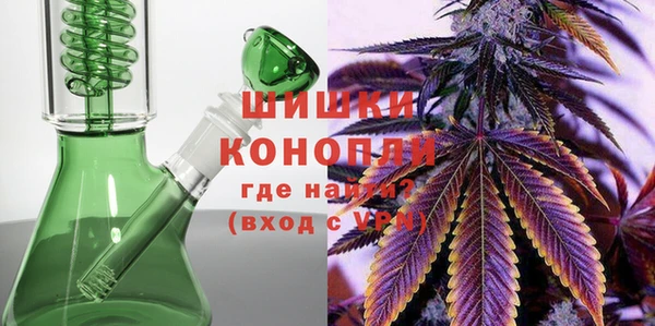 ПСИЛОЦИБИНОВЫЕ ГРИБЫ Балахна