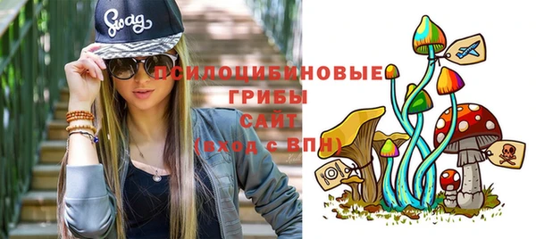 ПСИЛОЦИБИНОВЫЕ ГРИБЫ Балахна