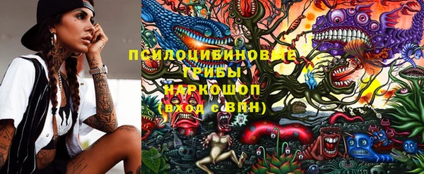 ECSTASY Кукмор